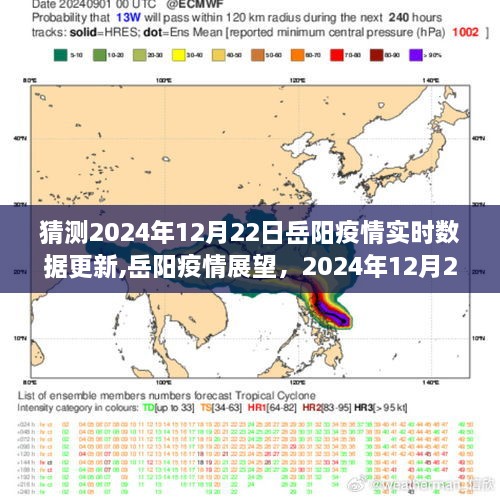 岳阳疫情展望，实时数据更新与回顾至2024年12月22日