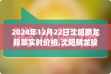 沈阳麟龙股票实时价格深度解析，2024年12月22日最新动态