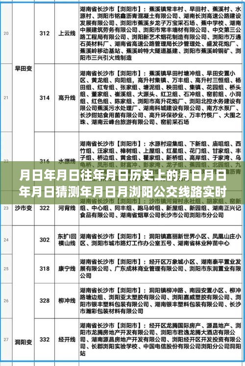 新一代智能公交查询系统，引领未来出行革命，月日浏阳公交线路实时探索与历史预测