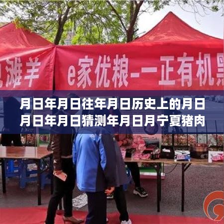 宁夏猪肉价格实时查询，历史视角洞悉未来趋势，深度解析猪肉市场预测