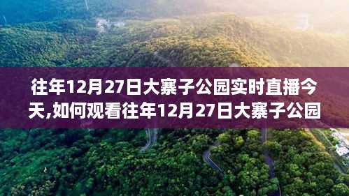 如何观看往年12月27日大寨子公园实时直播回顾，初学者与进阶用户指南