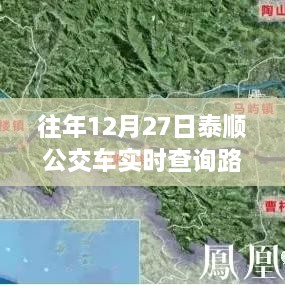 泰顺公交路线实时查询，温馨之旅，情深一路