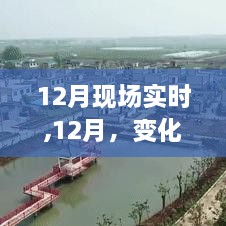 12月现场实时，变化与成长的闪光时刻