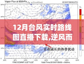 台风季节暖心直播之旅，实时路线图直播下载与逆风前行的勇气