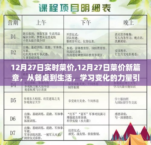 从餐桌到生活，揭秘12月27日菜价新篇章，变化的力量引领前行