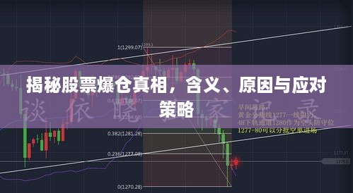 2024年12月30日 第5页