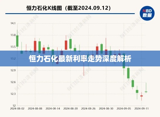 恒力石化最新利率走势深度解析