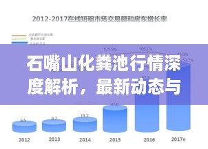 石嘴山化粪池行情深度解析，最新动态与市场趋势分析