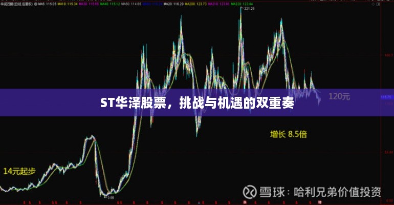 ST华泽股票，挑战与机遇的双重奏