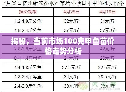 揭秘，当前市场100克甲鱼苗价格走势分析