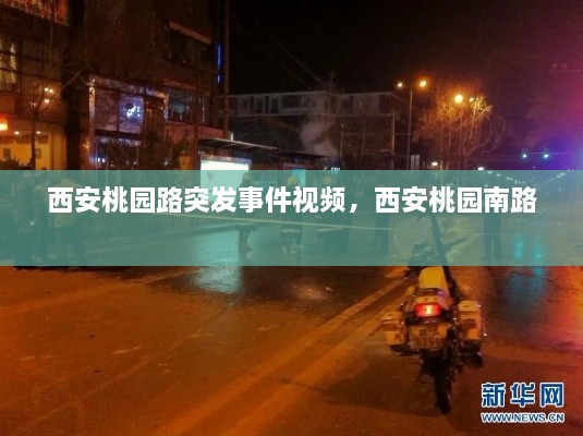 西安桃园路突发事件视频，西安桃园南路 