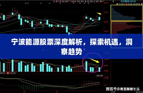 宁波能源股票深度解析，探索机遇，洞察趋势