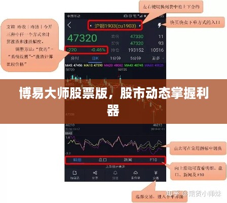 博易大师股票版，股市动态掌握利器