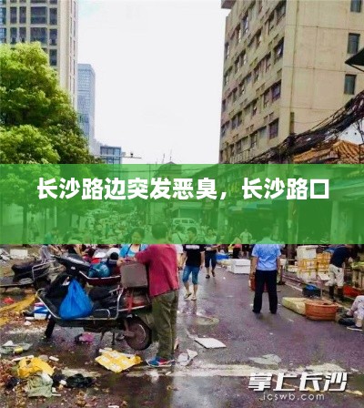 长沙路边突发恶臭，长沙路口 