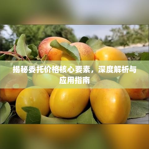 揭秘委托价格核心要素，深度解析与应用指南