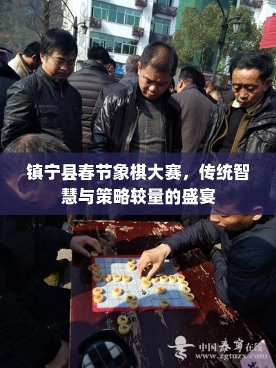 镇宁县春节象棋大赛，传统智慧与策略较量的盛宴