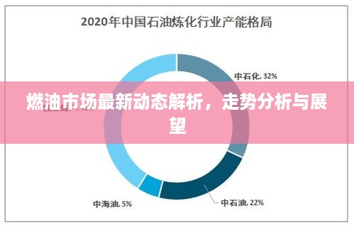 燃油市场最新动态解析，走势分析与展望