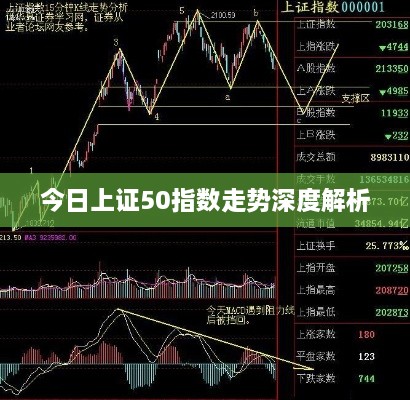 今日上证50指数走势深度解析