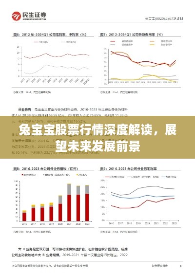 兔宝宝股票行情深度解读，展望未来发展前景