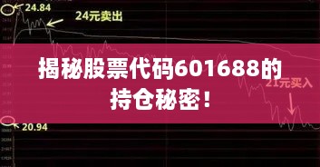 揭秘股票代码601688的持仓秘密！