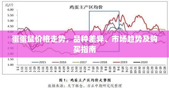 蛋蛋鼠价格走势，品种差异、市场趋势及购买指南