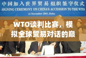 WTO谈判比赛，模拟全球贸易对话的巅峰之战