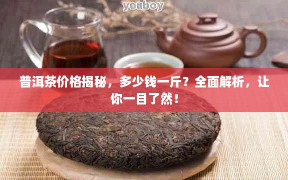 普洱茶价格揭秘，多少钱一斤？全面解析，让你一目了然！