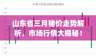 山东省三月猪价走势解析，市场行情大揭秘！