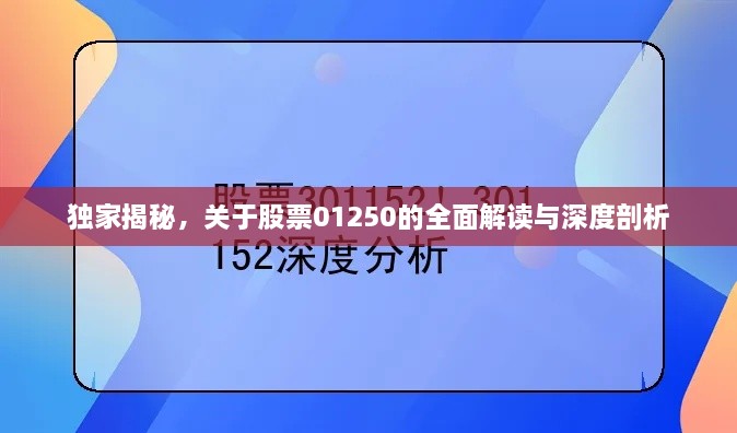 独家揭秘，关于股票01250的全面解读与深度剖析