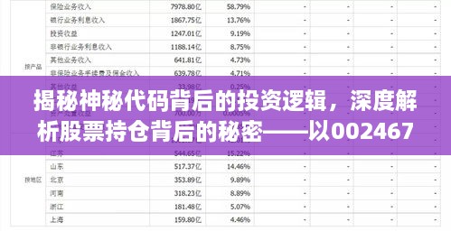 揭秘神秘代码背后的投资逻辑，深度解析股票持仓背后的秘密——以002467为例