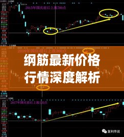 纲筋最新价格行情深度解析