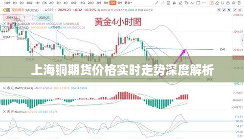 2025年1月6日 第10页