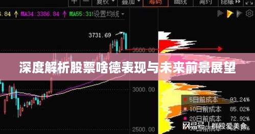 深度解析股票啥德表现与未来前景展望