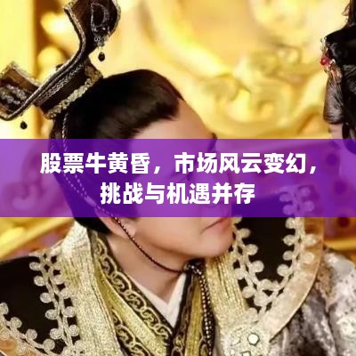 股票牛黄昏，市场风云变幻，挑战与机遇并存