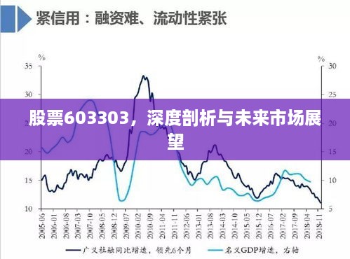 股票603303，深度剖析与未来市场展望