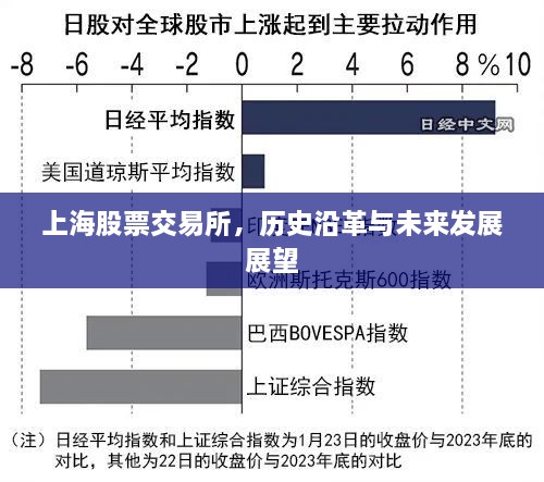 上海股票交易所，历史沿革与未来发展展望