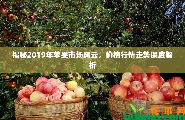 揭秘2019年苹果市场风云，价格行情走势深度解析