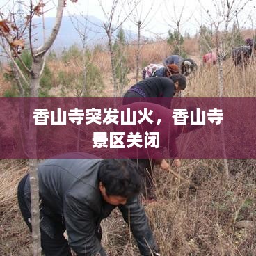 香山寺突发山火，香山寺景区关闭 