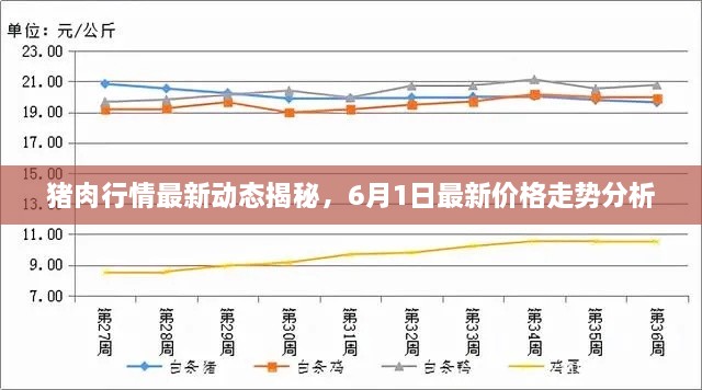 猪肉行情最新动态揭秘，6月1日最新价格走势分析