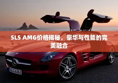 SLS AMG价格揭秘，豪华与性能的完美融合