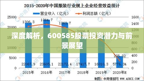 深度解析，600585股票投资潜力与前景展望