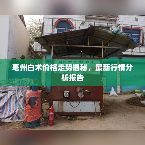 亳州白术价格走势揭秘，最新行情分析报告