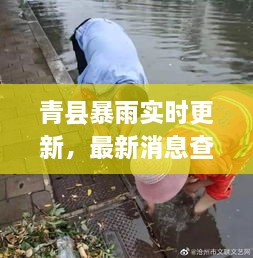 青县暴雨实时更新，最新消息查询与动态报告