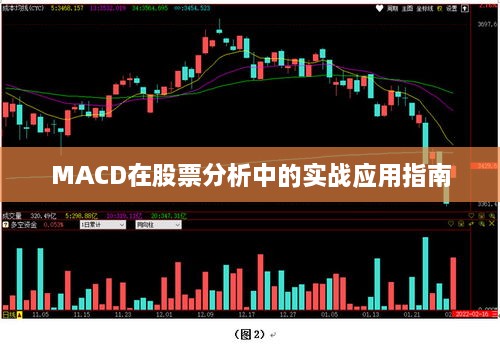 MACD在股票分析中的实战应用指南