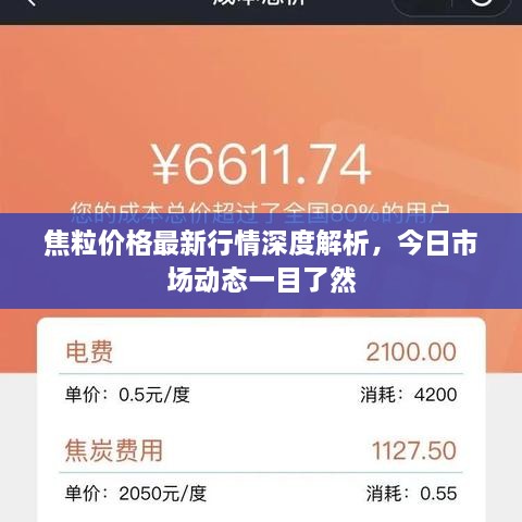 焦粒价格最新行情深度解析，今日市场动态一目了然