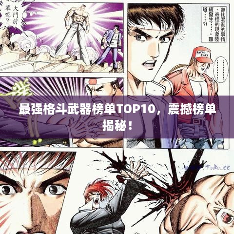 最强格斗武器榜单TOP10，震撼榜单揭秘！