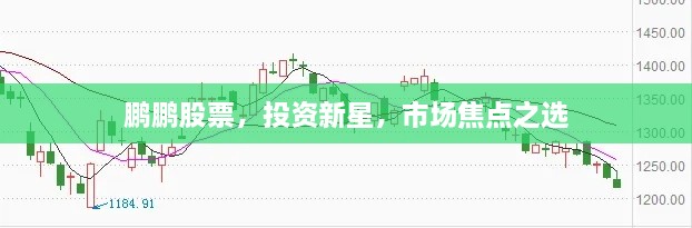 鹏鹏股票，投资新星，市场焦点之选