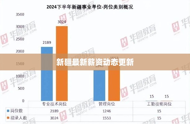 新疆最新薪资动态更新