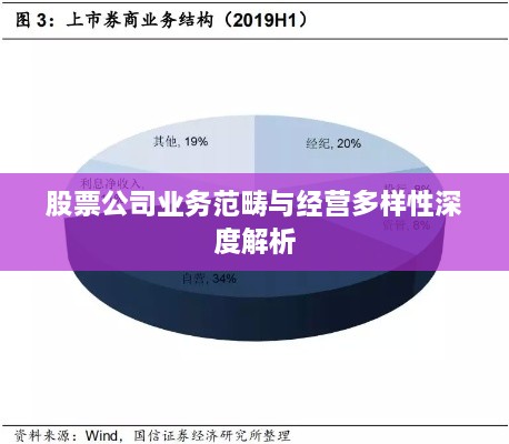 股票公司业务范畴与经营多样性深度解析