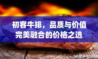 初客牛排，品质与价值完美融合的价格之选